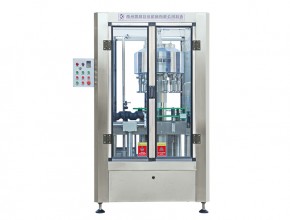 GDP-12全自動(dòng)等液位灌裝機(jī)