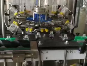 12頭全自動翻轉式沖瓶機