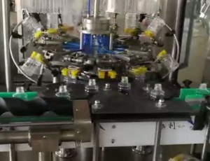 12頭全自動翻轉式沖瓶機